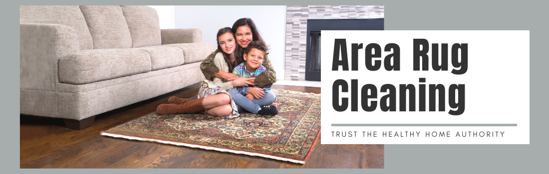 Professional Area Rug Cleaning Services